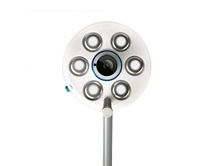 D6 bottom view
