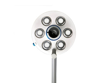 D6 bottom view